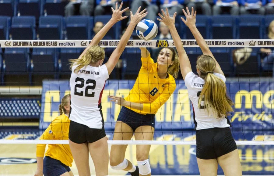 Gallery_Volleyball_4.jpg