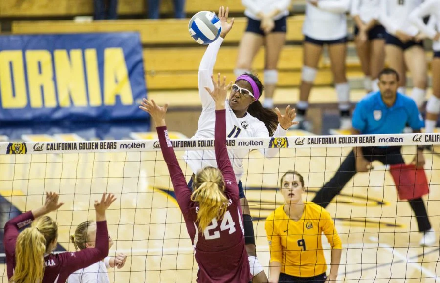 Gallery_Volleyball_10.jpg