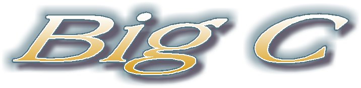 BigCyoungAlumsOne.jpg