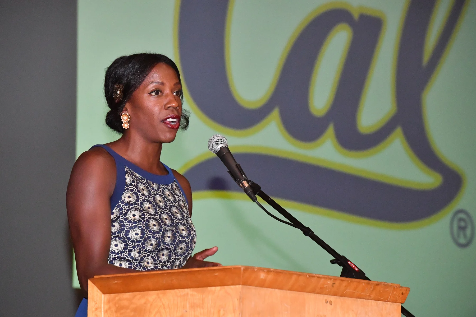 2018 - Hall of Fame Banquet