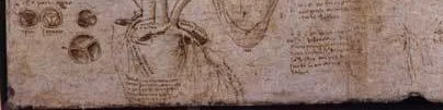davinci.jpg