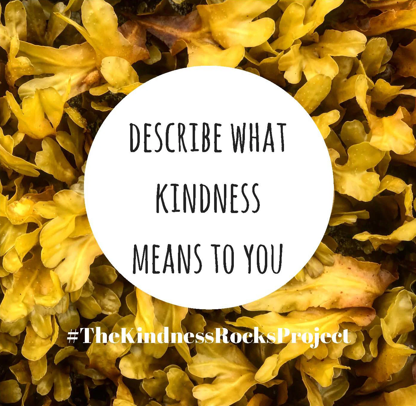 kindness means.jpg