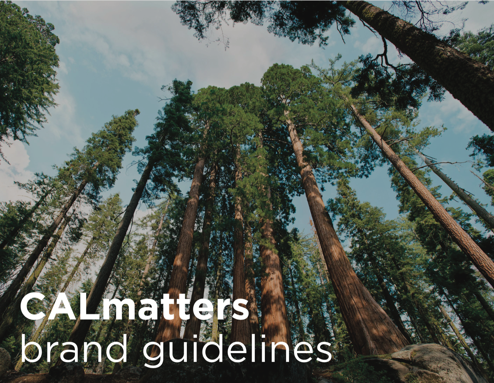 Front page of the brand guidelines. The rest is for CALmatters!
