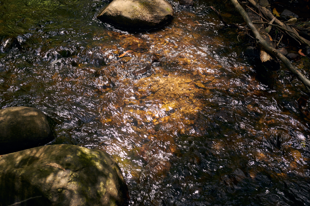 River water.jpg