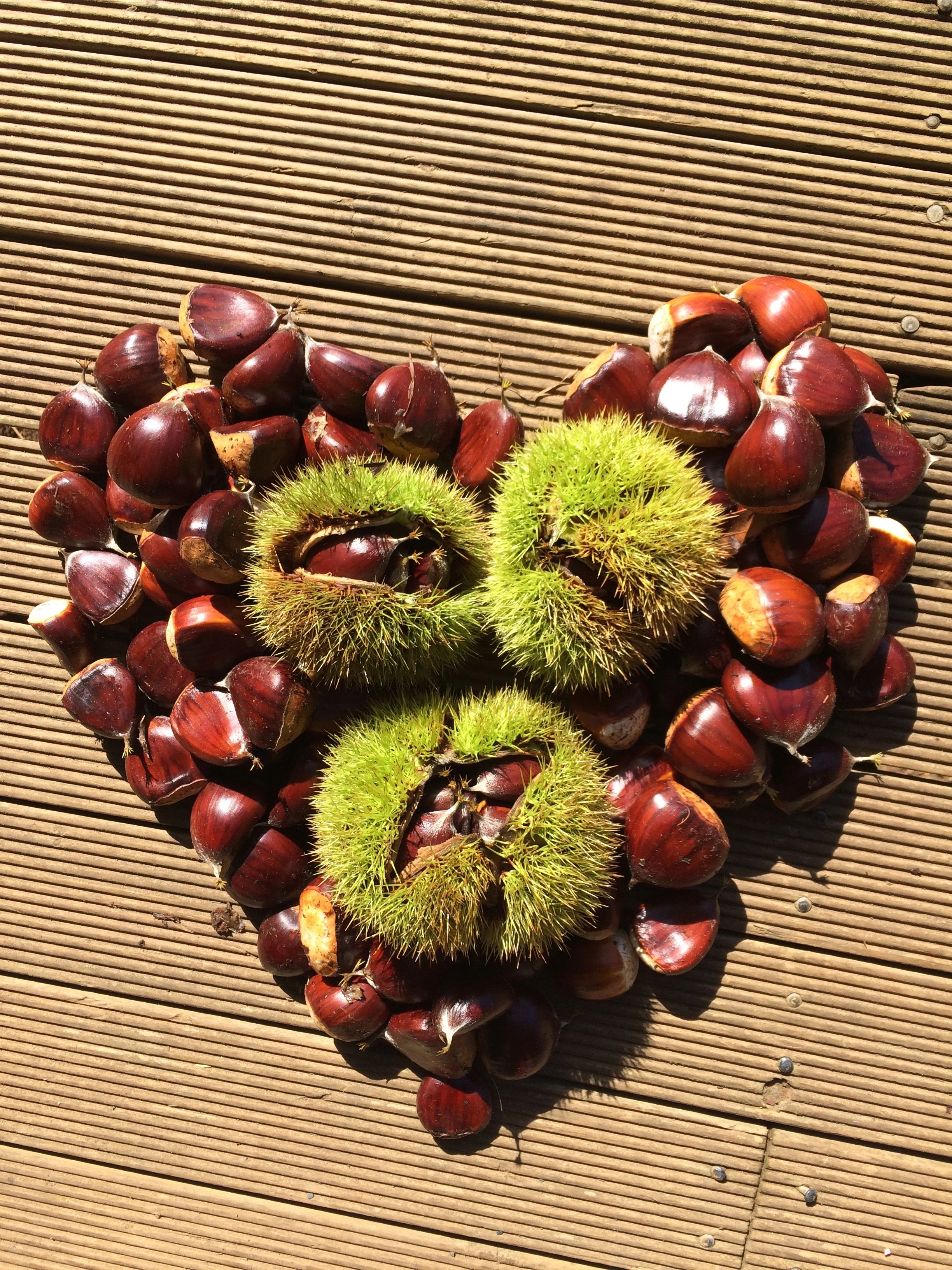 chestnuts.jpg
