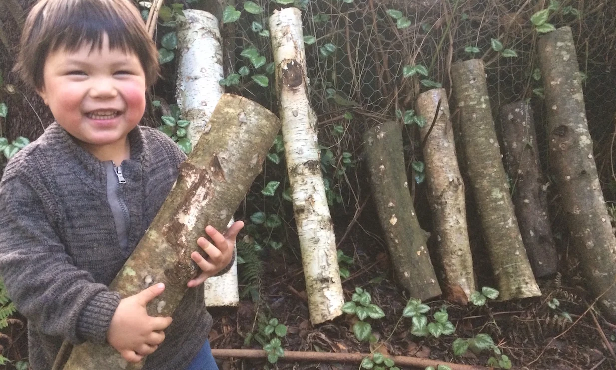 Mushroom log &amp; garden bed workshop