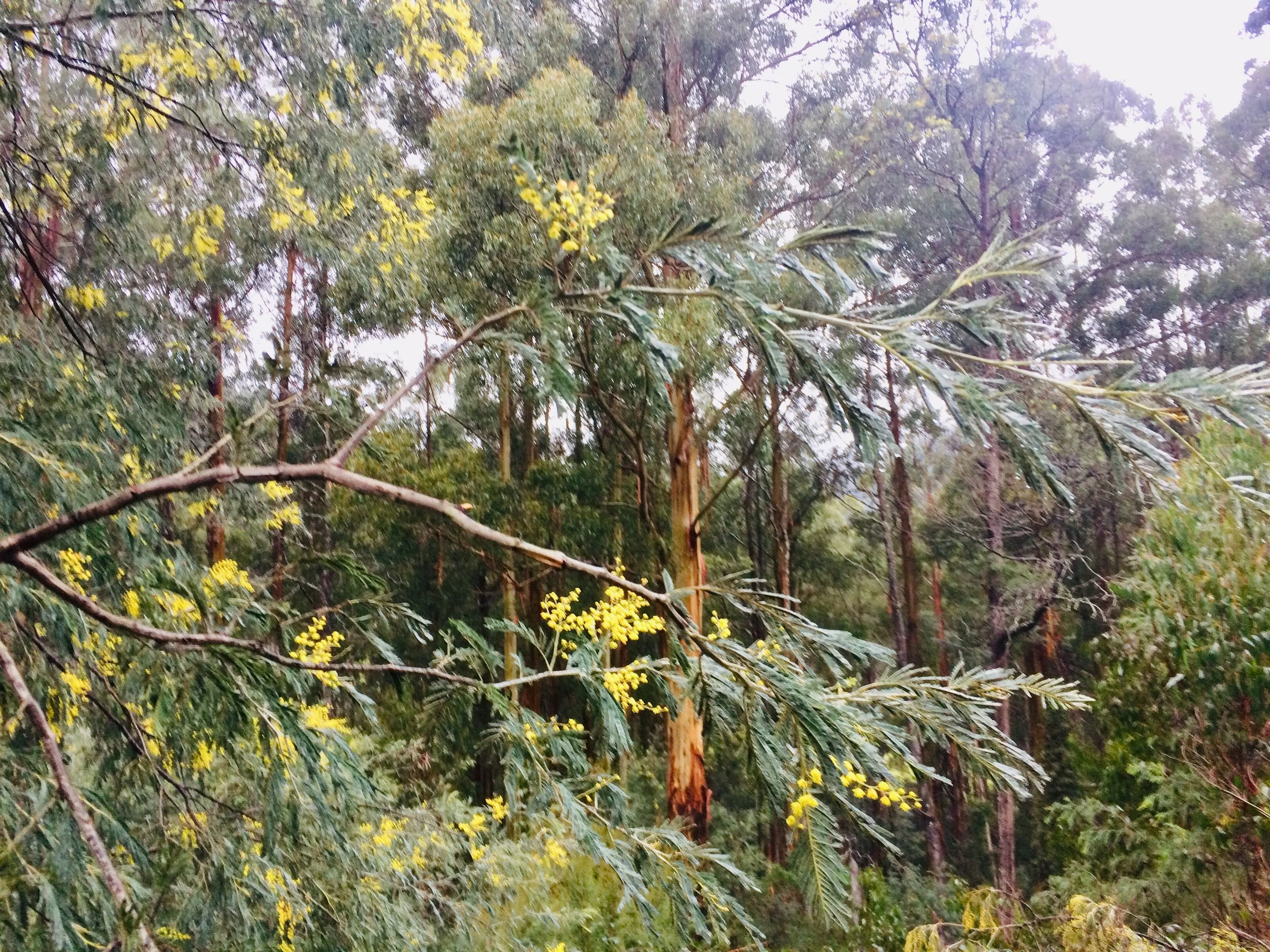 Living with the seasons - Spring