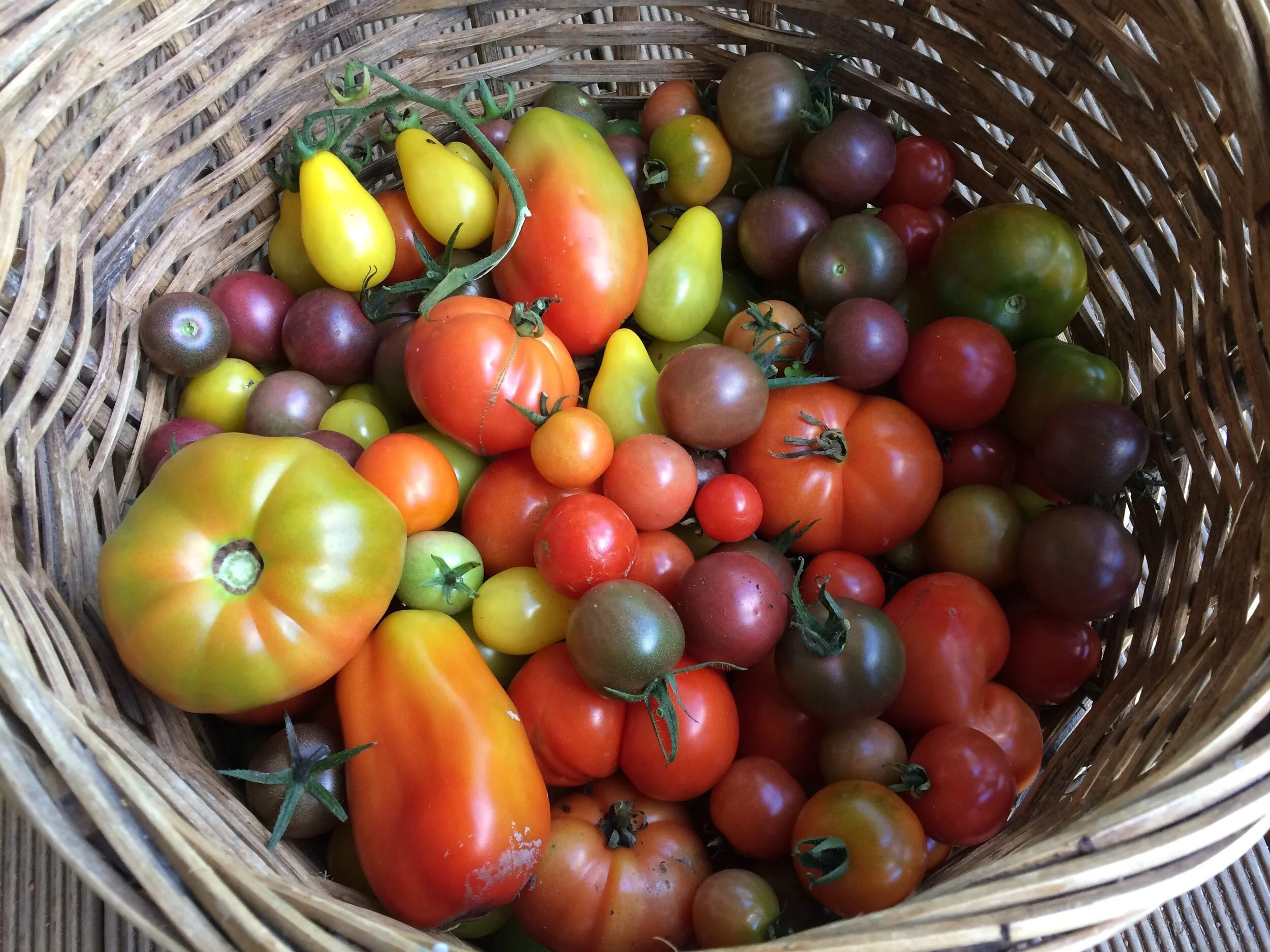 Living with the seasons ~ Summer