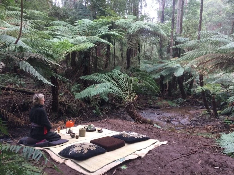 Qigong &amp; Tea Ceremony Day Retreat