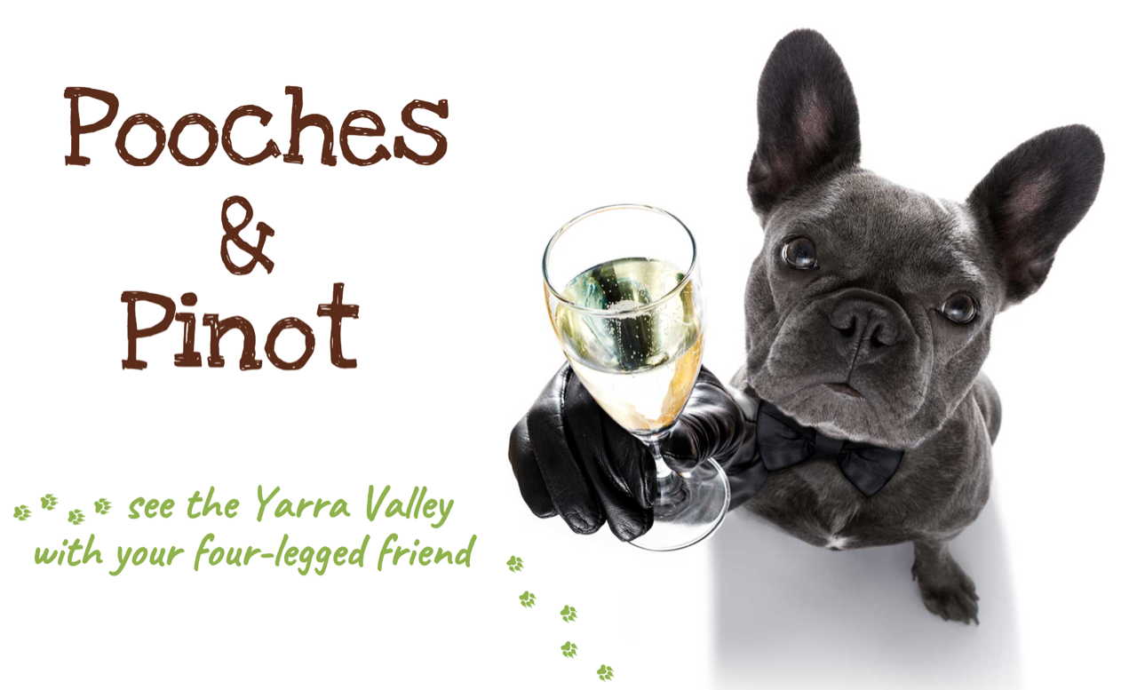 P&P logo high res.png