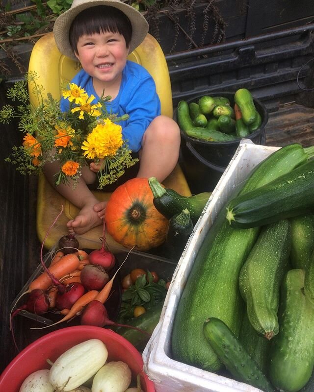 Smiles all round as we load up a tray full of organic nutrient dense goodies.