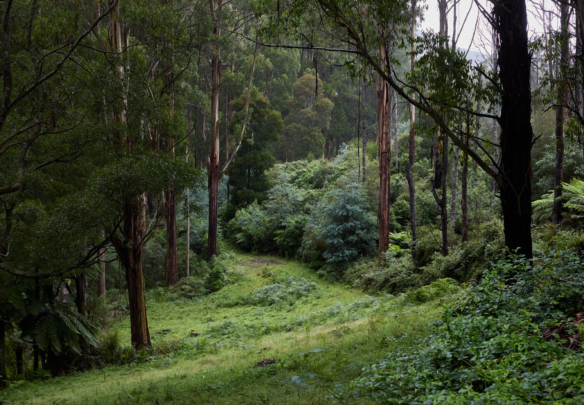 0405_Yama_Ki_414 1.jpg