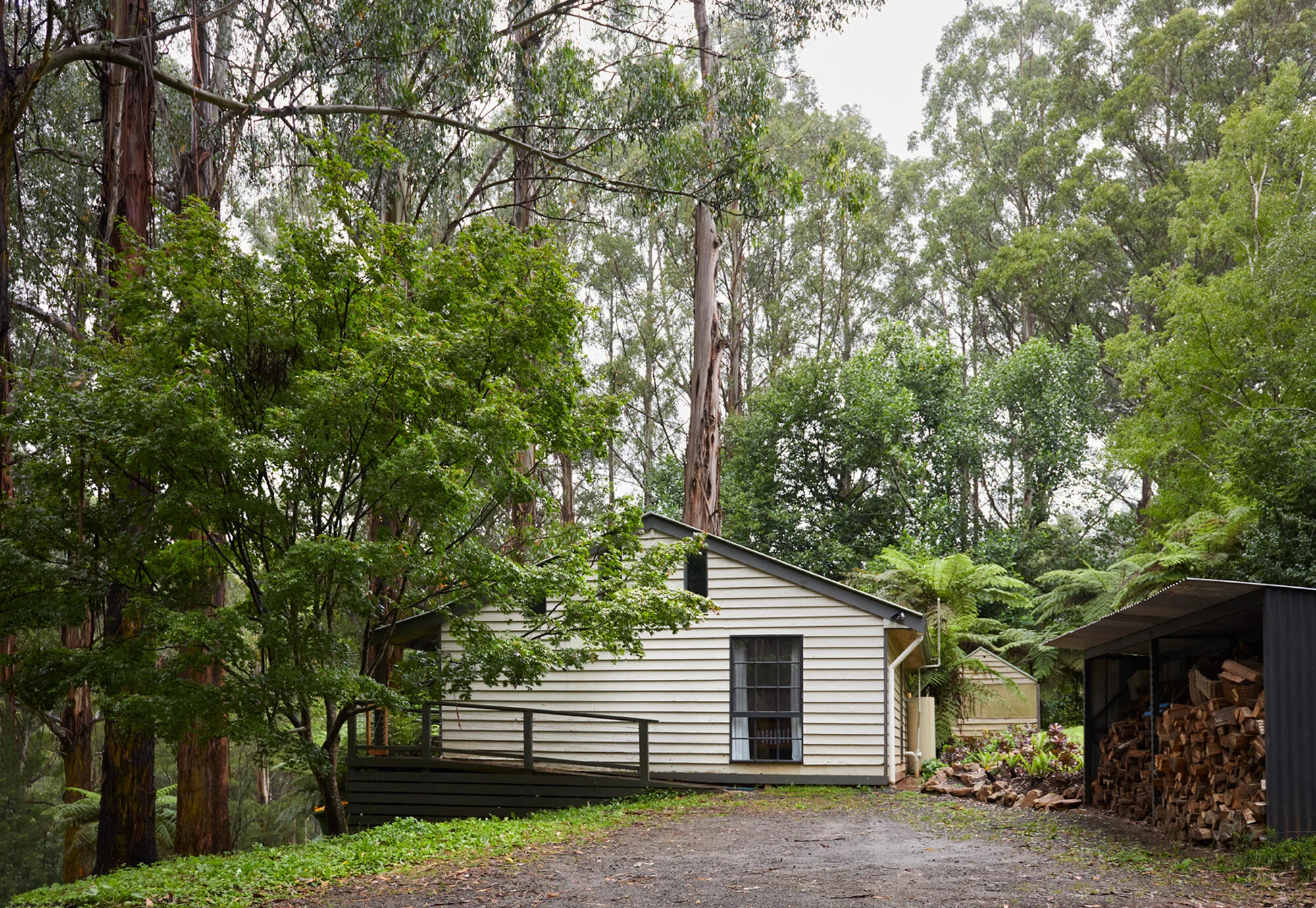 0405_Yama_Ki_403 1.jpg