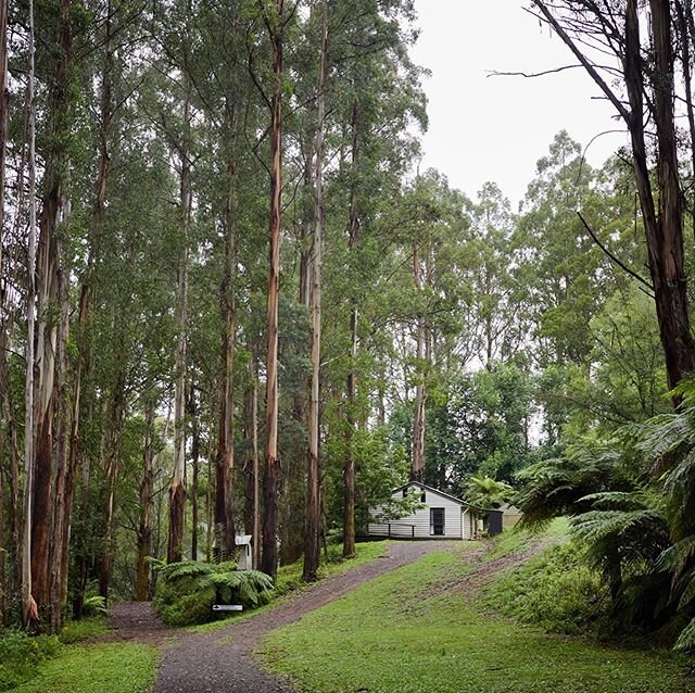 Cottage Update 💥: Stringy Bark two bedroom cottage is available for guest stays from Friday 12th June. Bookings now open at www.yamaki.com.au.
We are so happy to share this fresh mountain air, the lush forest and a cosy warm cottage for you to retre