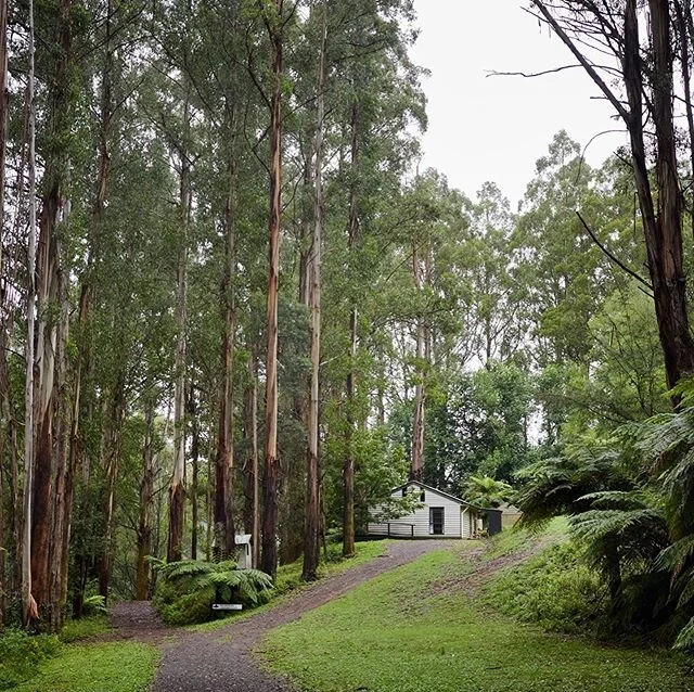 Cottage Update 💥: Stringy Bark two bedroom cottage is available for guest stays from Friday 12th June. Bookings now open at www.yamaki.com.au.
We are so happy to share this fresh mountain air, the lush forest and a cosy warm cottage for you to retreat, rejuvenate and reconnect in nature
