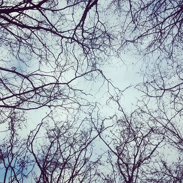 Look up, expand and breathe in. Nature is such wonderful medicine for the body, mind and heart. If you&rsquo;re feeling a bit stuck or restricted, there&rsquo;s plenty of open sky, fresh air and natural spaces to explore here. #escapethecity #yarravalleyaccomodation