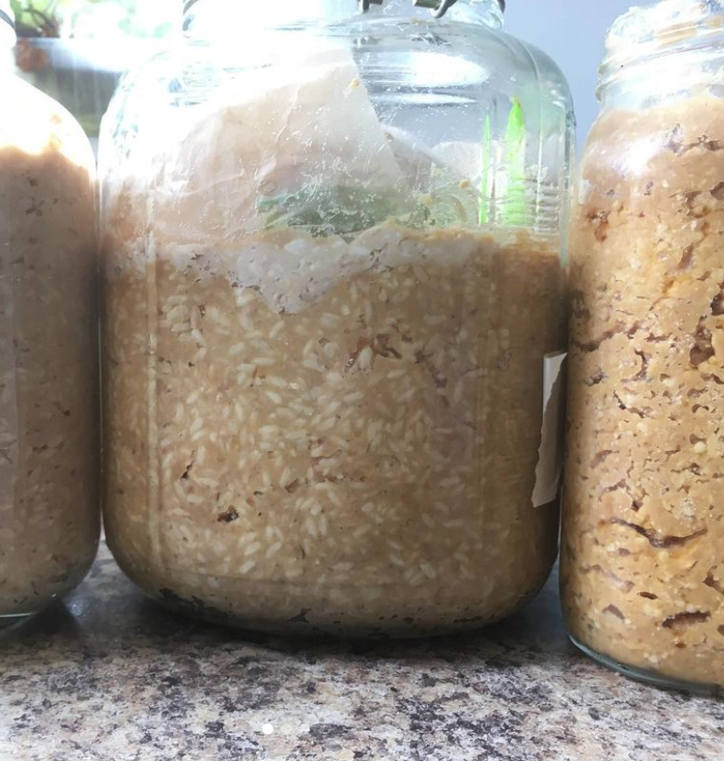 Miso making workshop