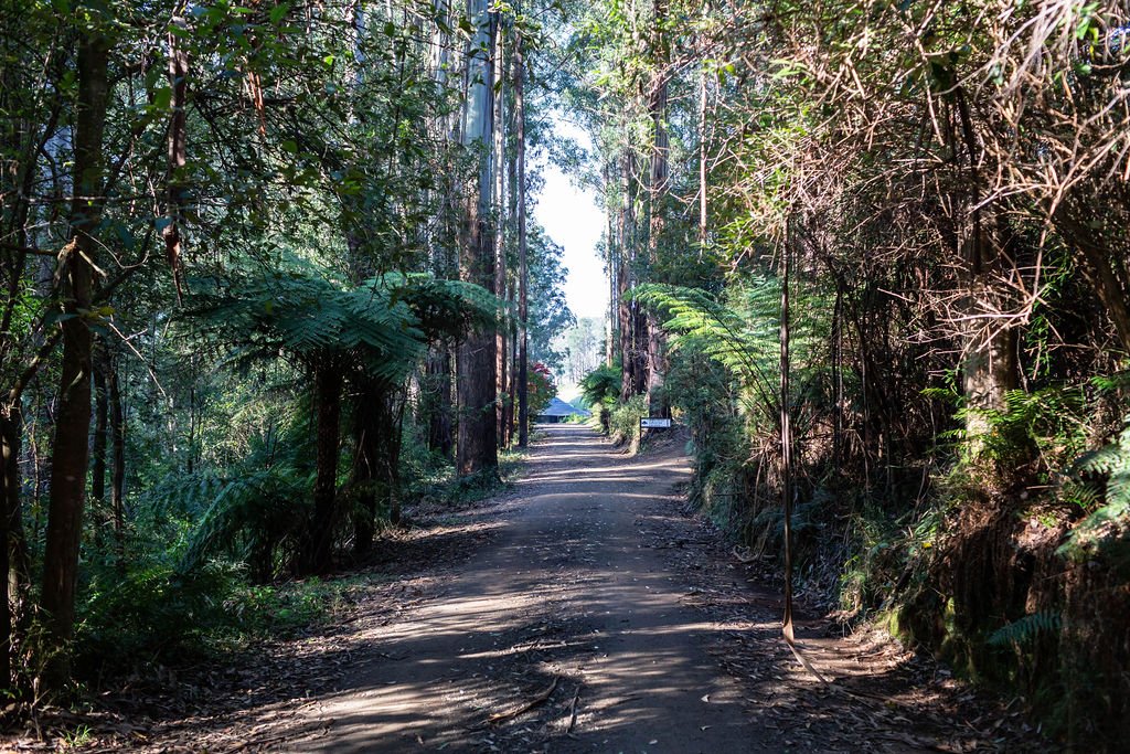 Going inwards - Yoga and slow food retreat (Date TBC)