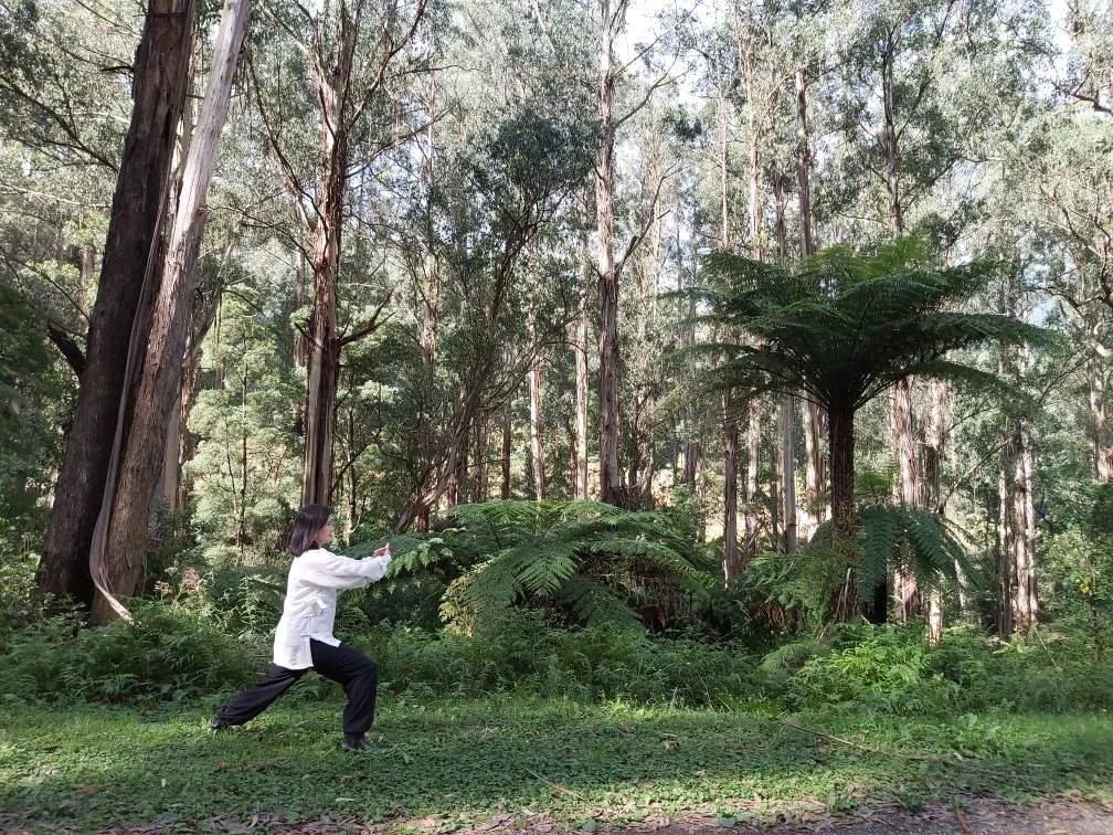 Morning Qigong Taiji at Yama Ki Farm