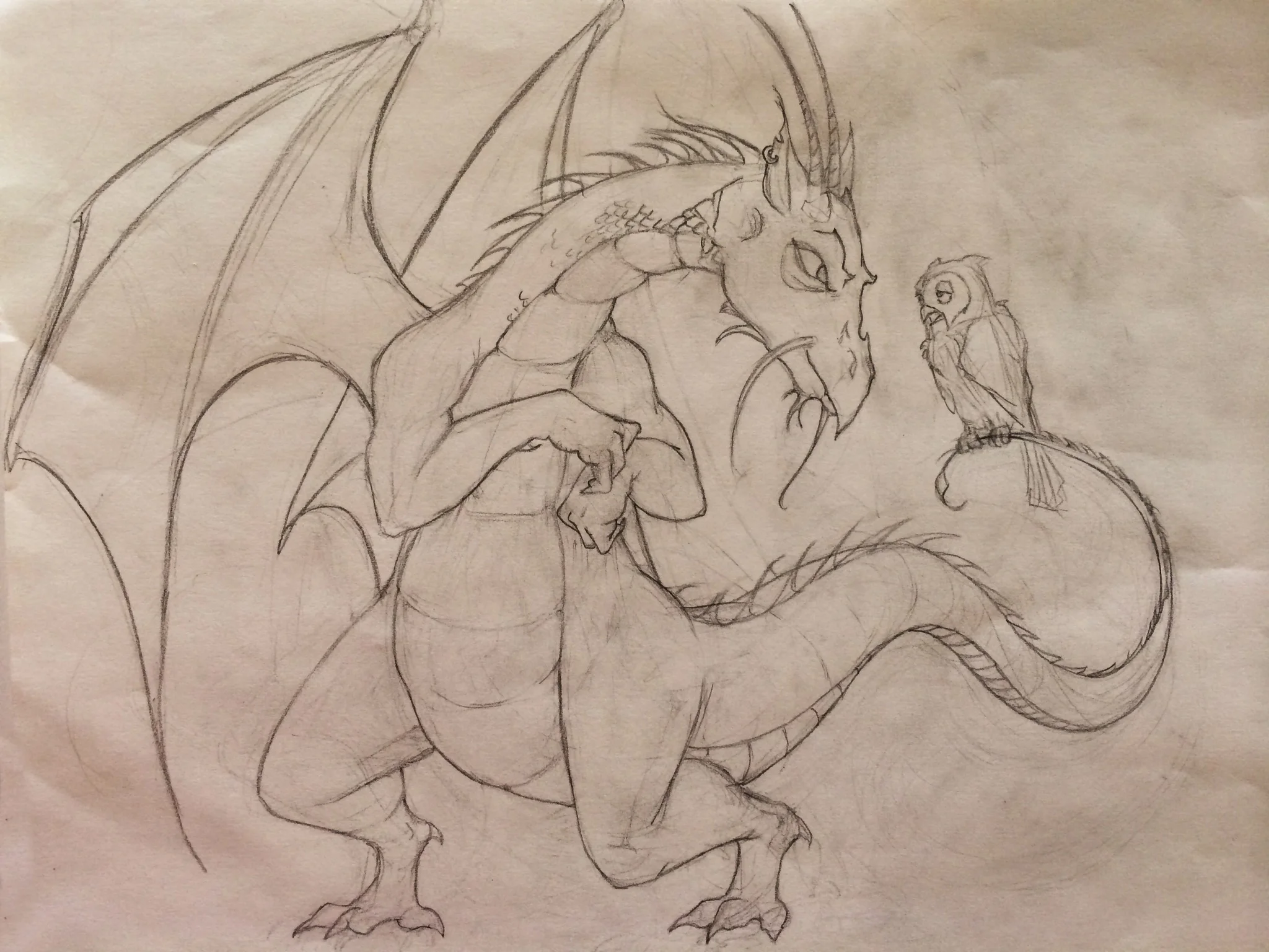 The Dragon and the Owl