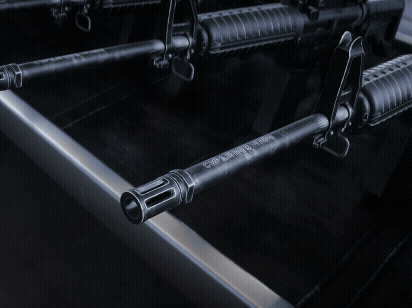 gun share.gif