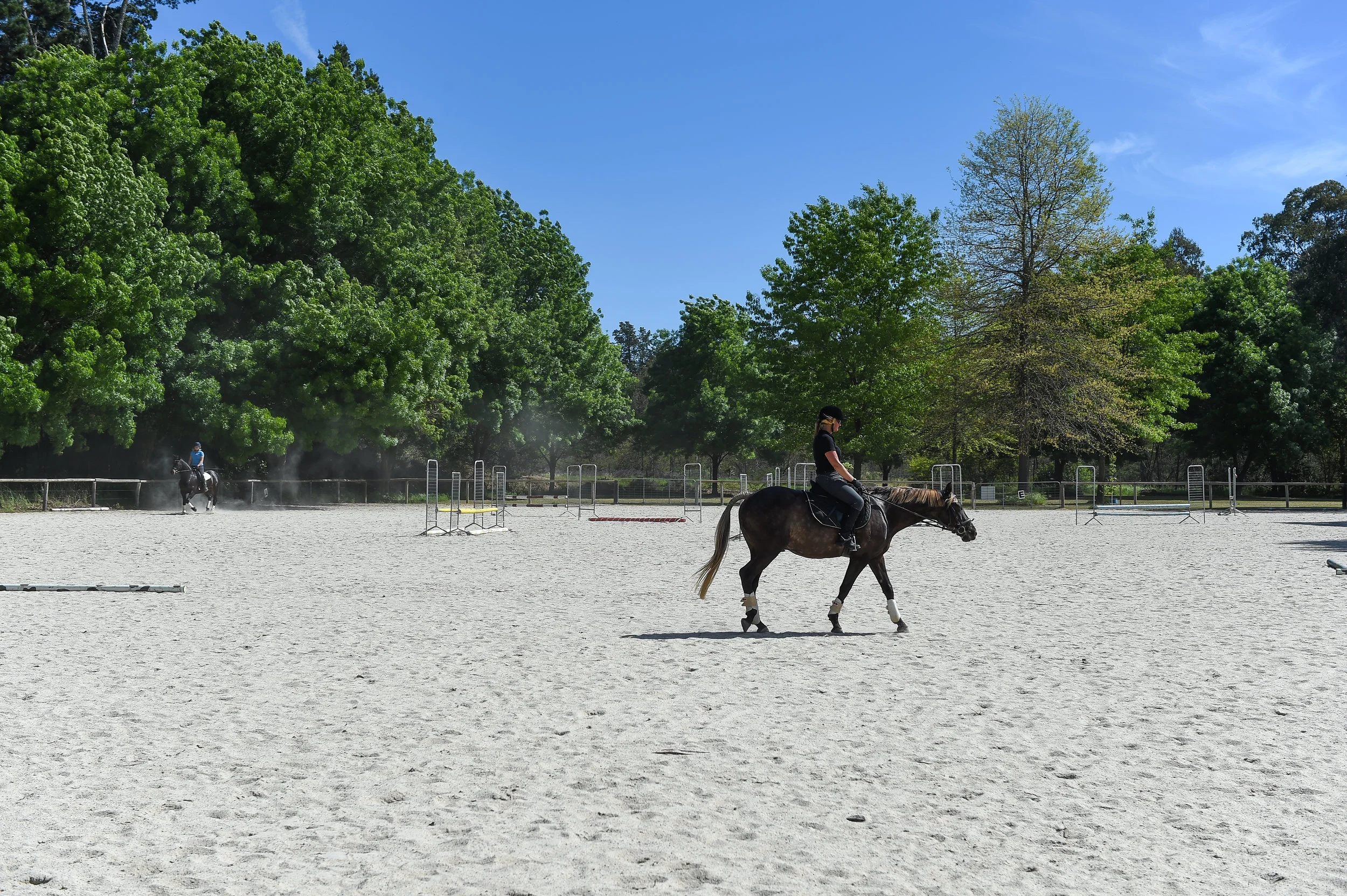 Horse Riding
