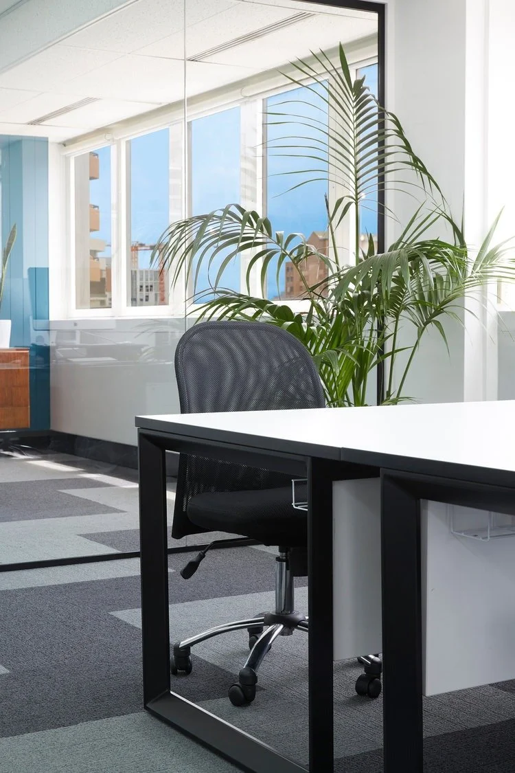 imgi_3_170208_CThree_Agency_106B.jpg