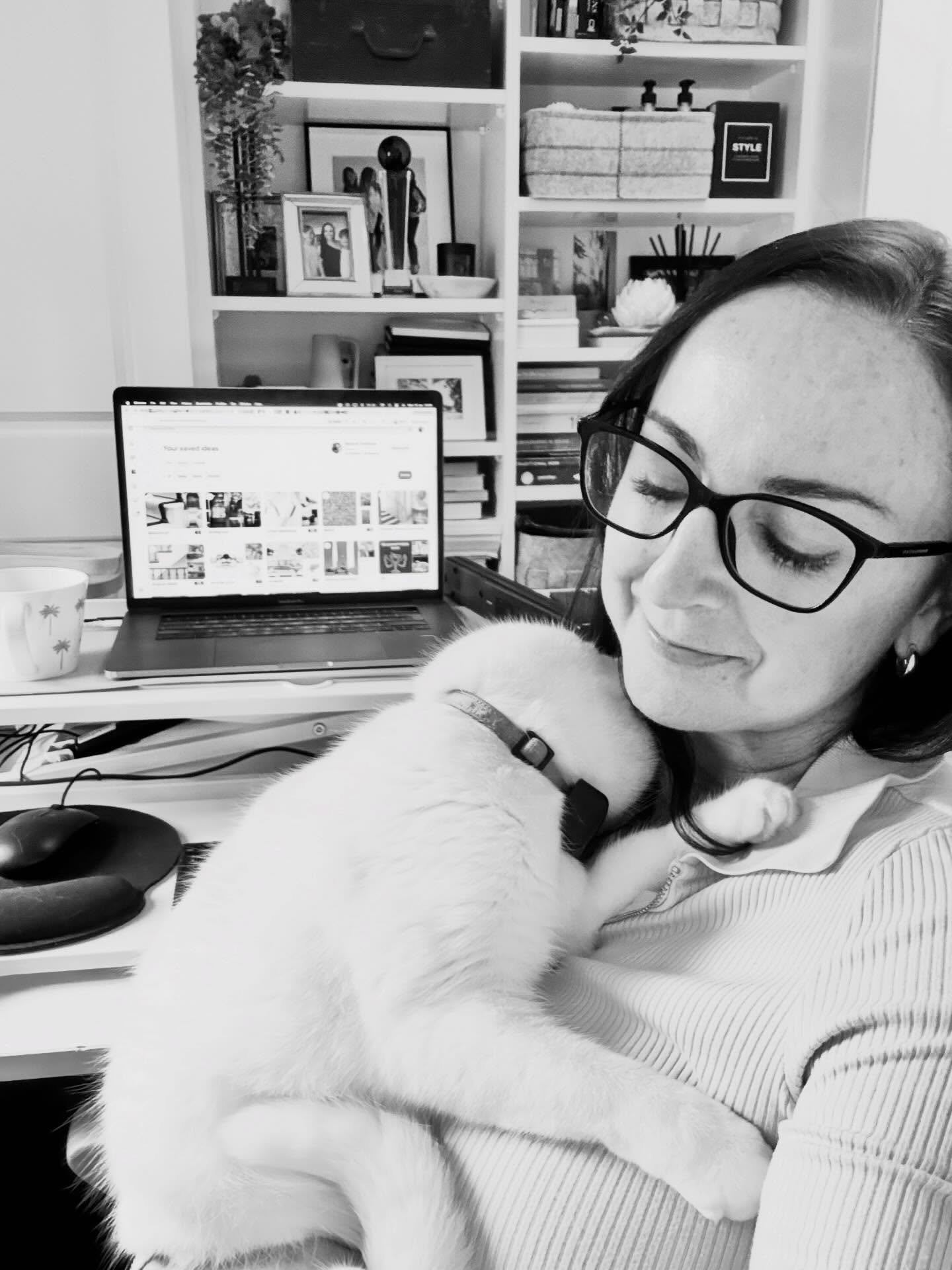 It has been a while coming, but we are finally settled in our new office and Hermione who has seen us through everything and travelled all the way from the UK to live Sydney, Australia can interrupt our work for some cuddles, sitting in the window on