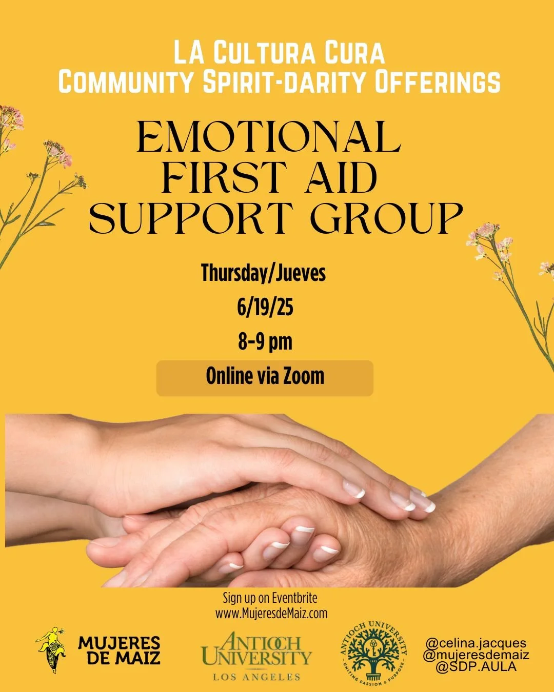 LA Cultura Cura Community Spirit-darity Offerings  Emotional First Aid Support Group