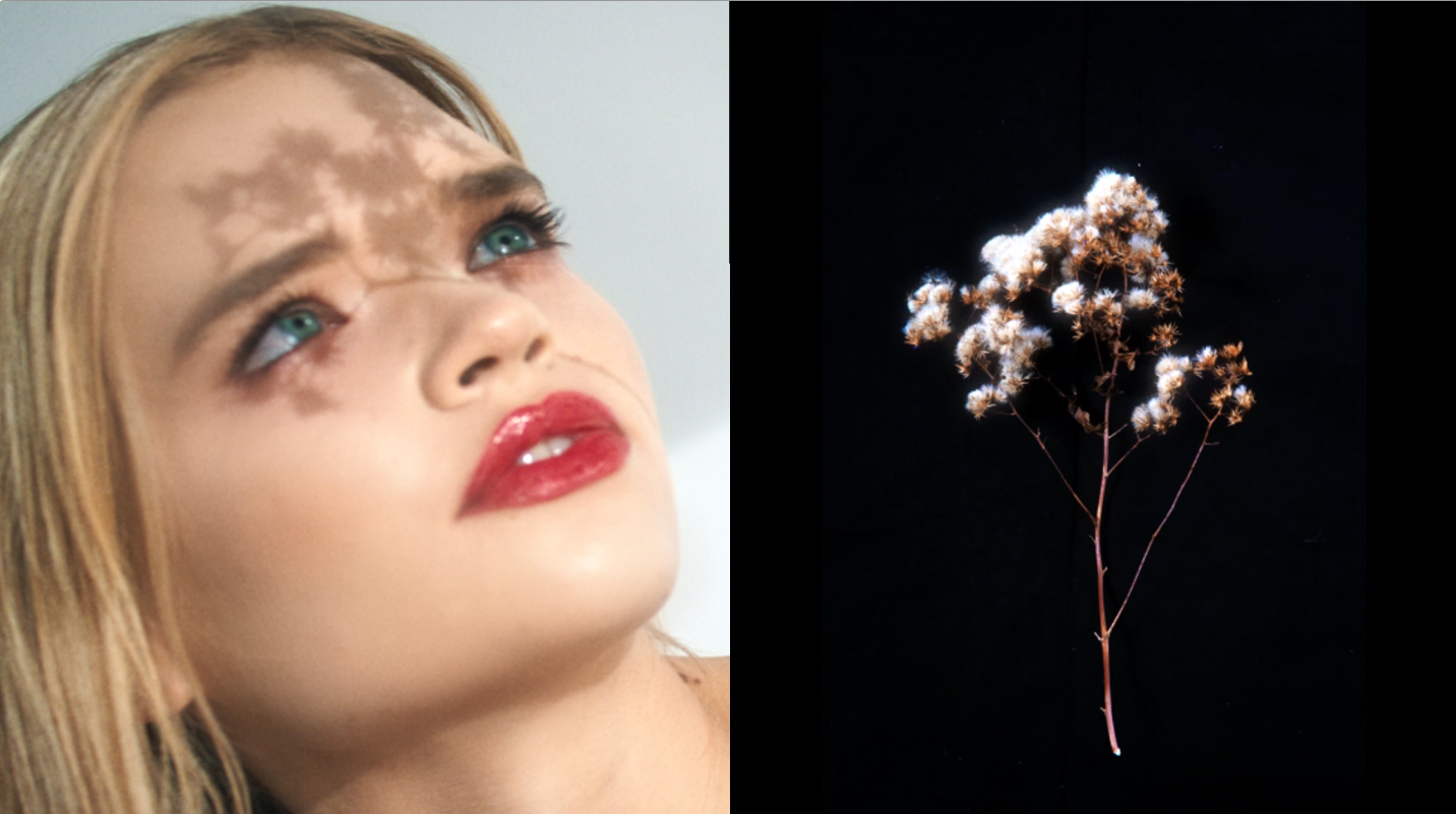 Beauty  | Arbonne Spec