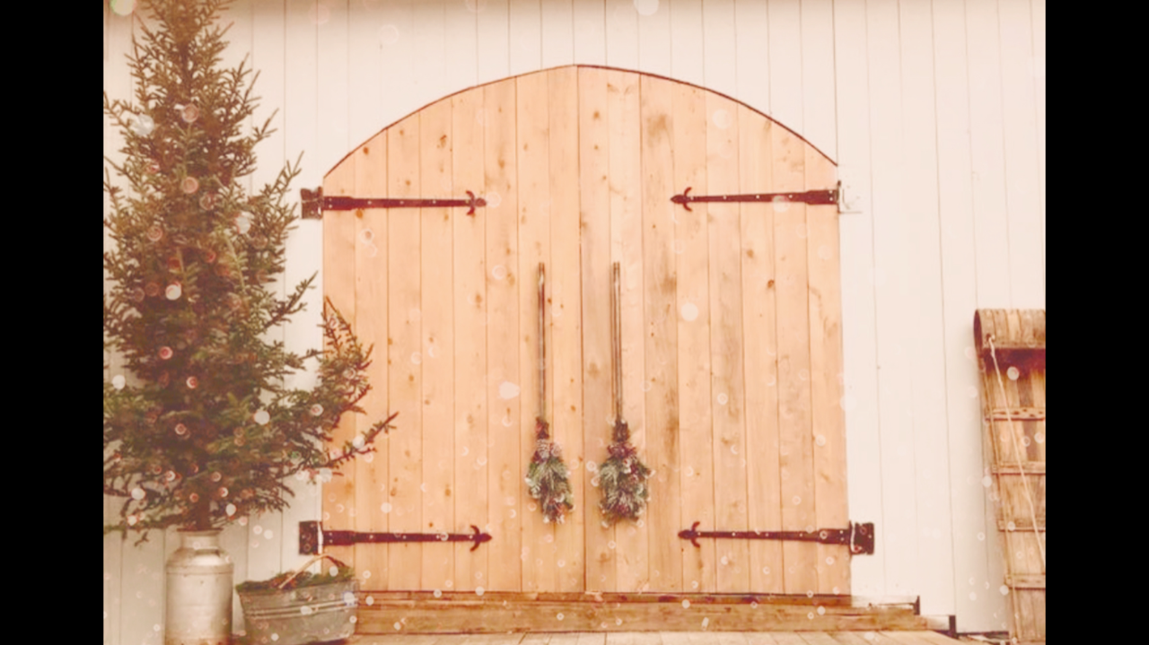 full view side door snowy.PNG