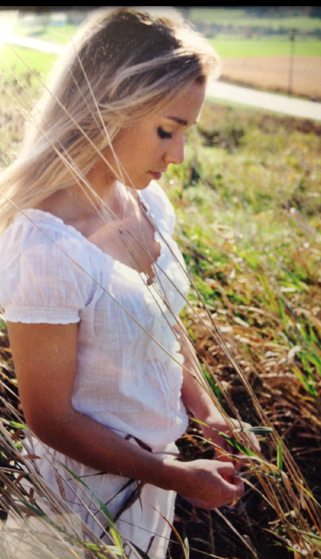 Ellis in tall grass.PNG