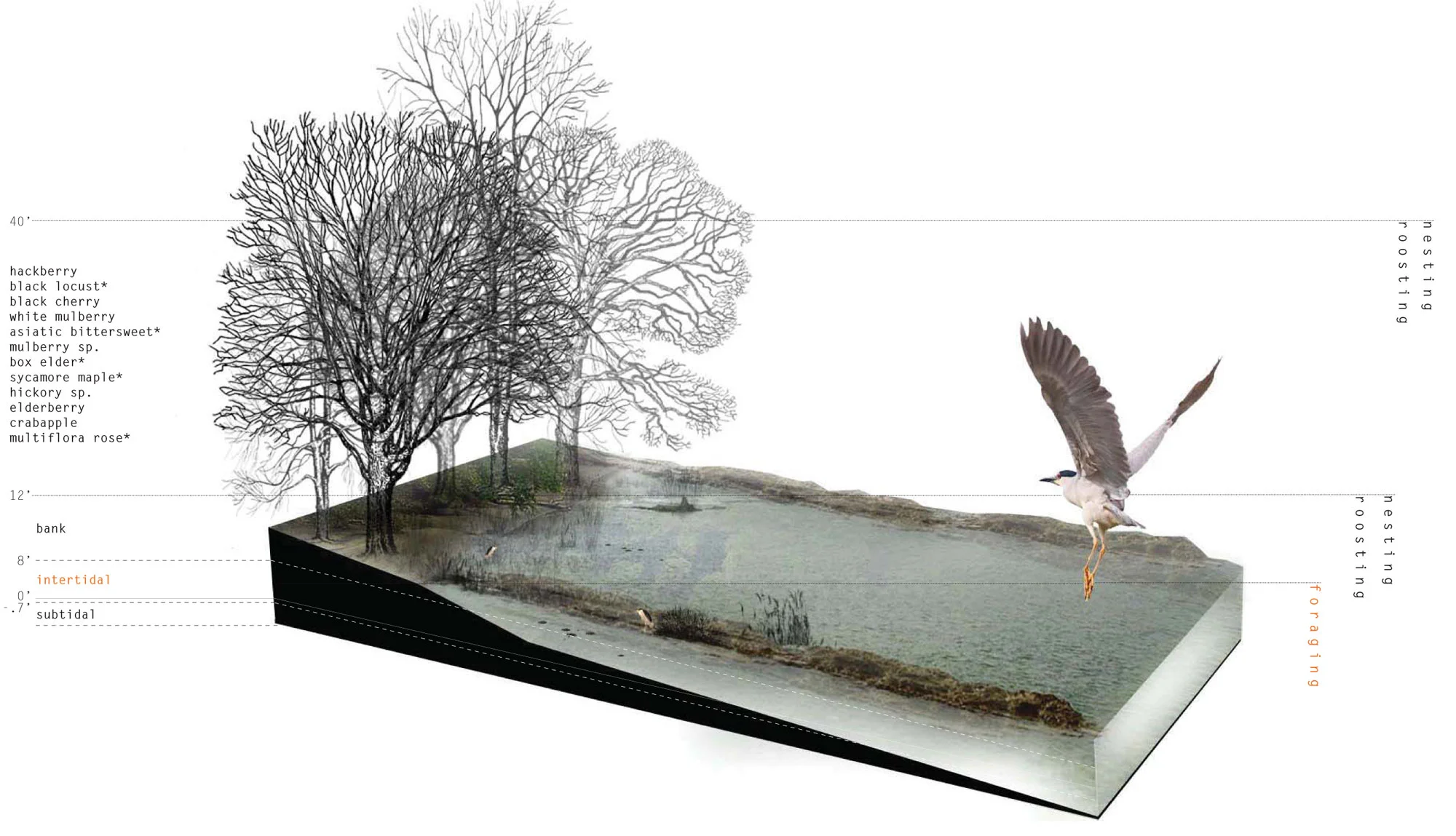 North Brother Island School + Habitat Ian M. Ellis Architect Austin, TX