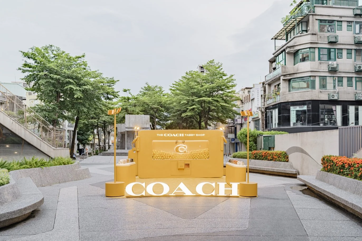 FY25 TW COACH TABBY SHOP_DAY (2).jpg