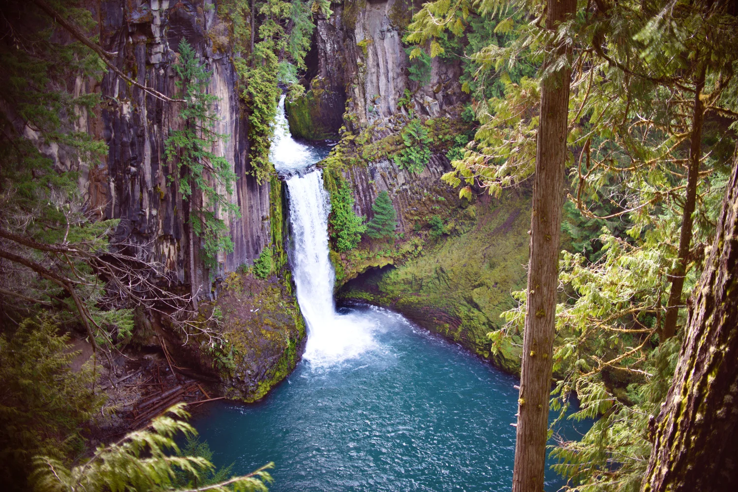 Springs-1.jpg