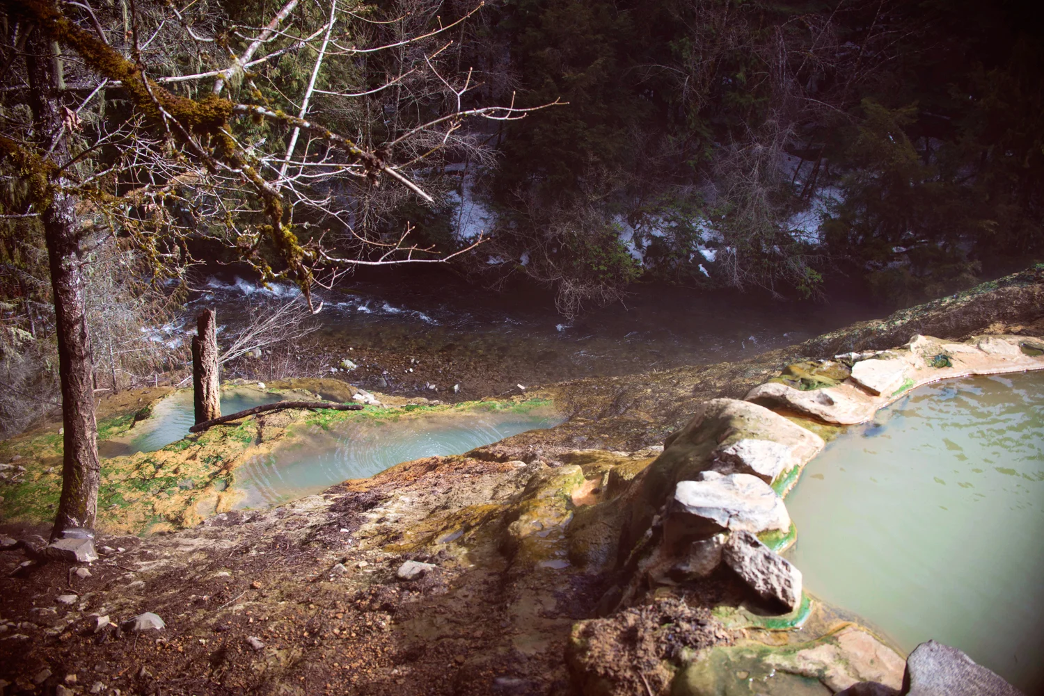 Springs-3.jpg