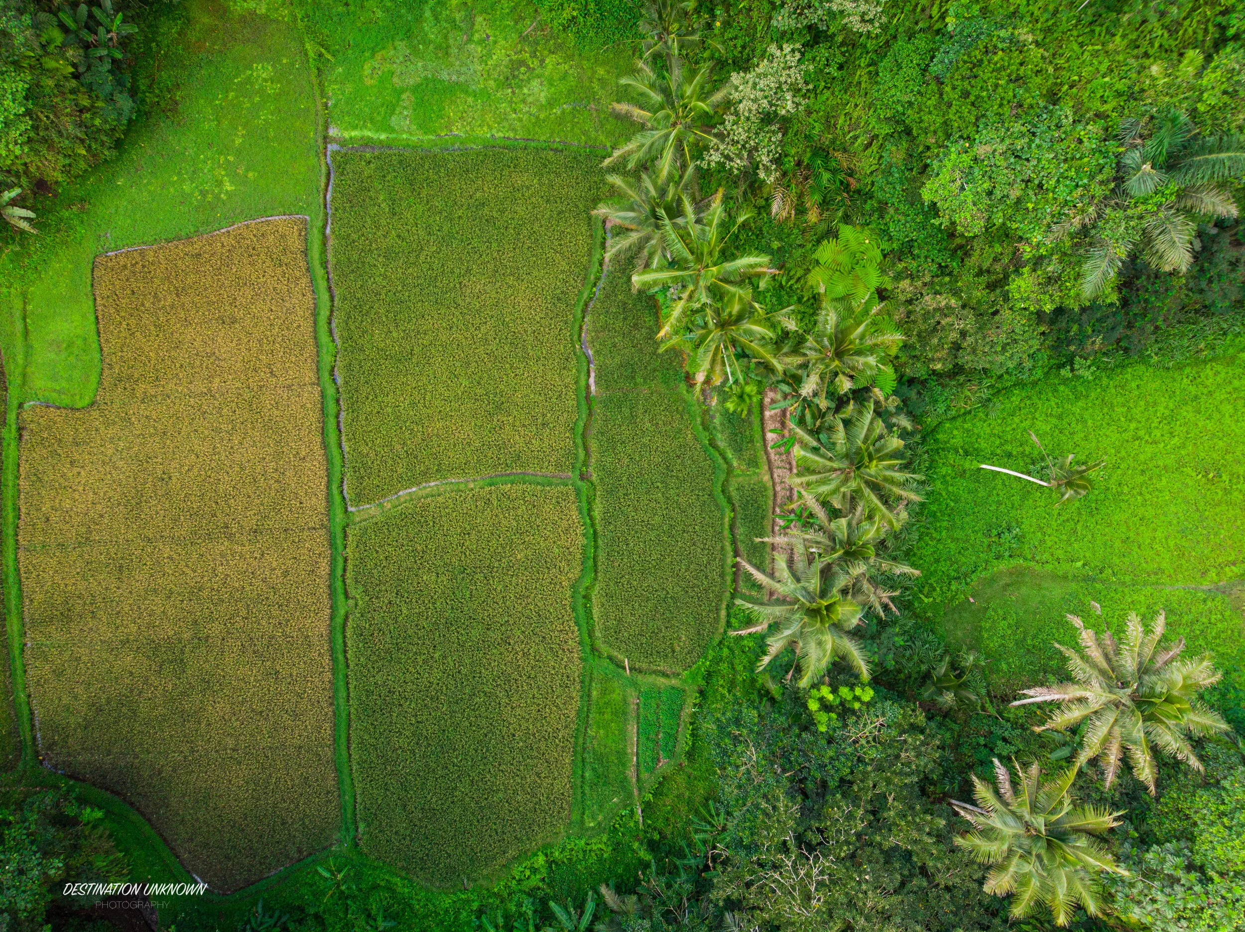 DJI_0030.jpg