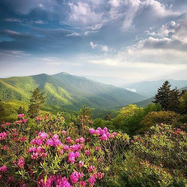 Asheville Chamber Music Series