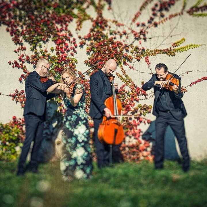 One month from now we'll be welcoming one of Europe's most compelling ensembles to our virtual stage! Join us on the weekend of February 26th and listen to the Meccore String Quartet. &quot;Tickets&quot; available at www.ashevillechambermusic.org 😎
