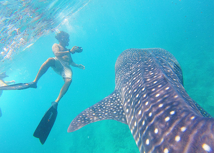 Blog-1-Married-in-the-maldives-(3)-edited.jpg