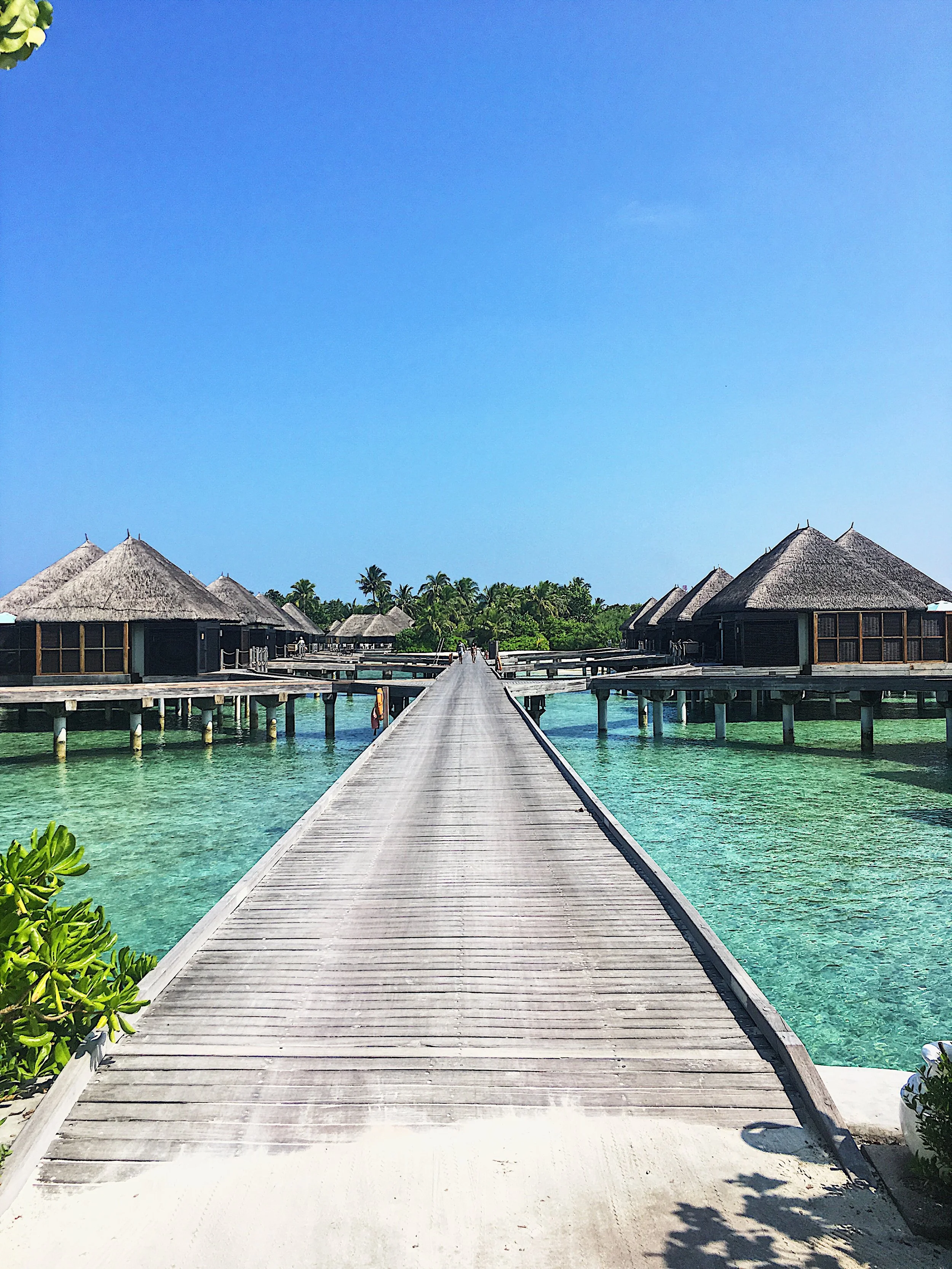 Blog 1-Married in the Maldives (4).jpg