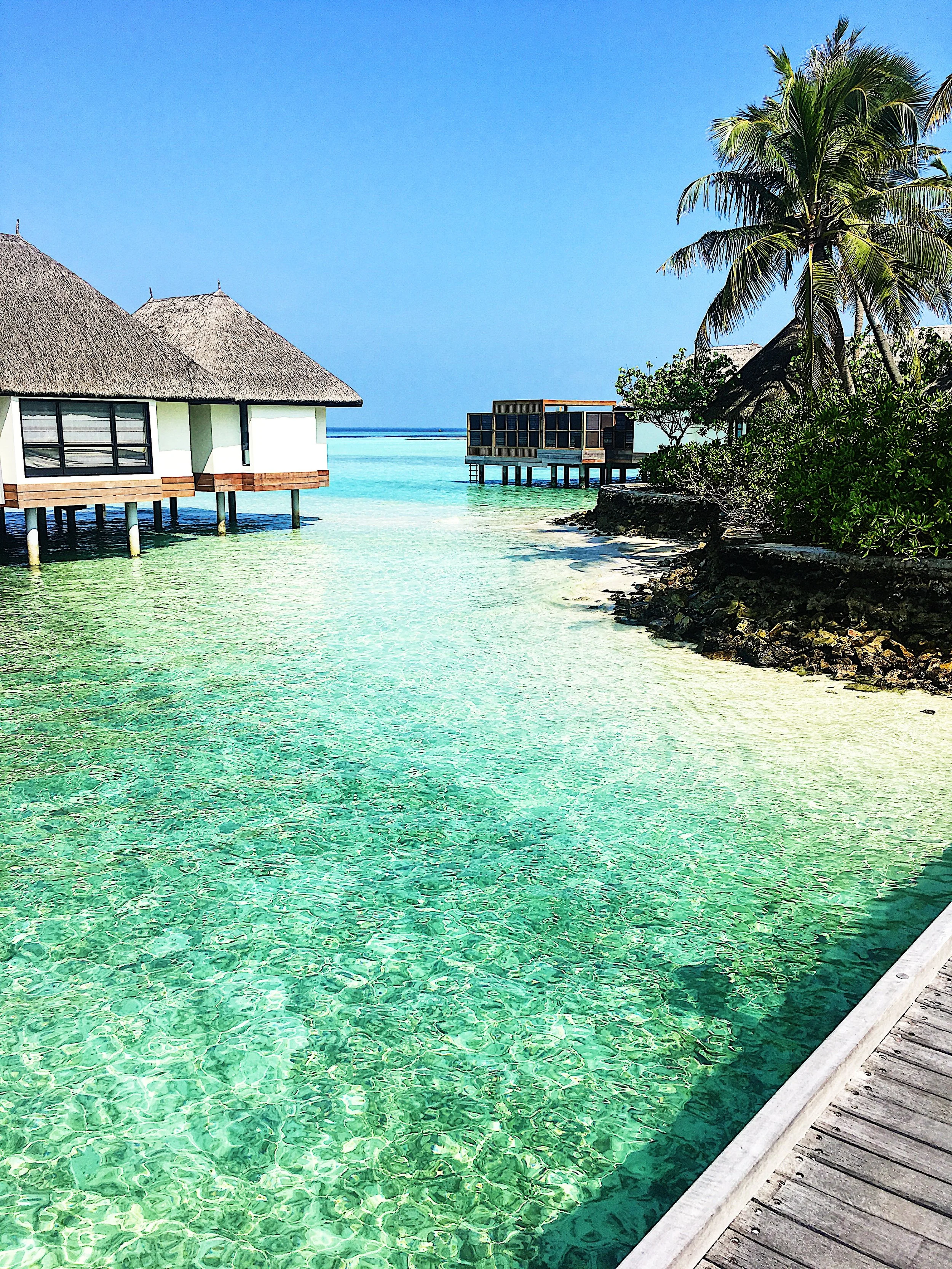 Blog 1-Married in the Maldives.jpg