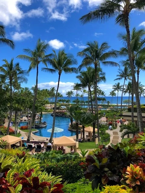 Welcome to Paradise! A grand view of one of their main pools!