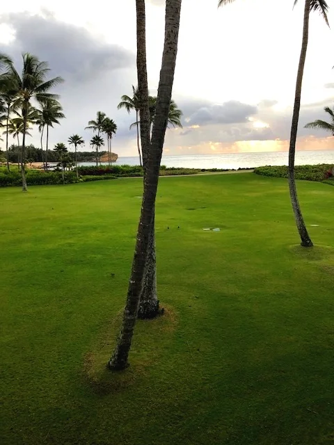 The epic view from our room!
