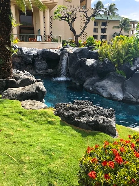 One of their majestic waterfalls!
