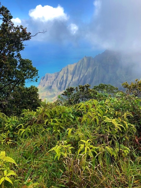 The Nā Pali Coast State Wilderness Park!