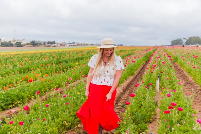 The Flower Fields have officially opened!