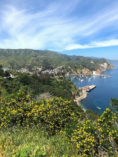 The spectacular view just below The Wrigley Mansion!