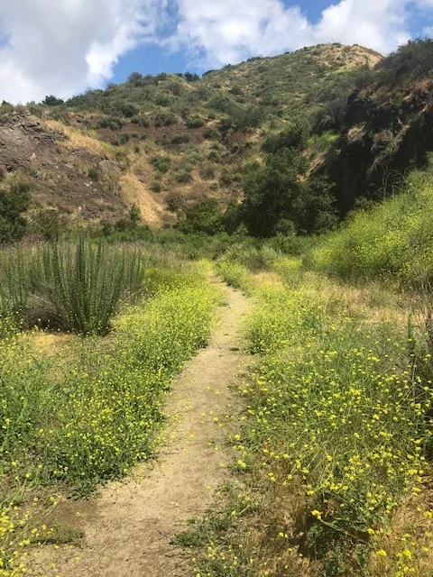 The view on the hike up to the cave. So pretty! We spotted a few coyotes on our way up the trail.