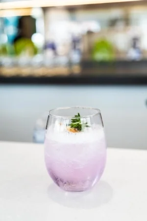 Ink & Tonic with rosemary and dehydrated blood orange
